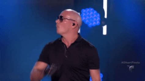 pitbull singer gif